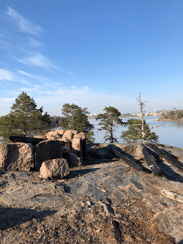 Screen Shot 2019-05-13 at 10.13.01 AM