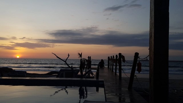 98dd591b-a18f-429d-a0b1-2ff4e1abda3c